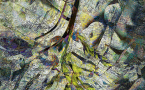 10-G2-OTTEN-118x84cm-2020